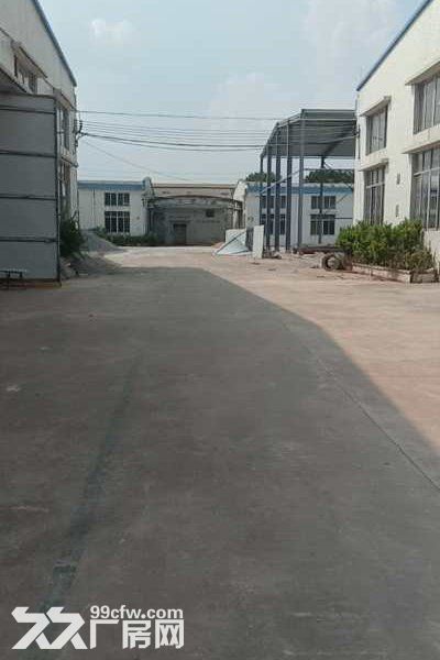 江门新会司前独院工业园厂房20000平方招租，可分栋出租-图7