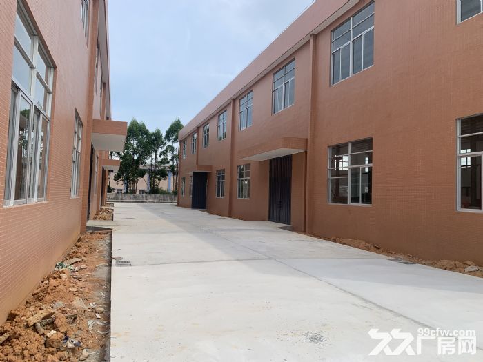 台山市四九镇独门独院10000平方工业厂房出租-图7