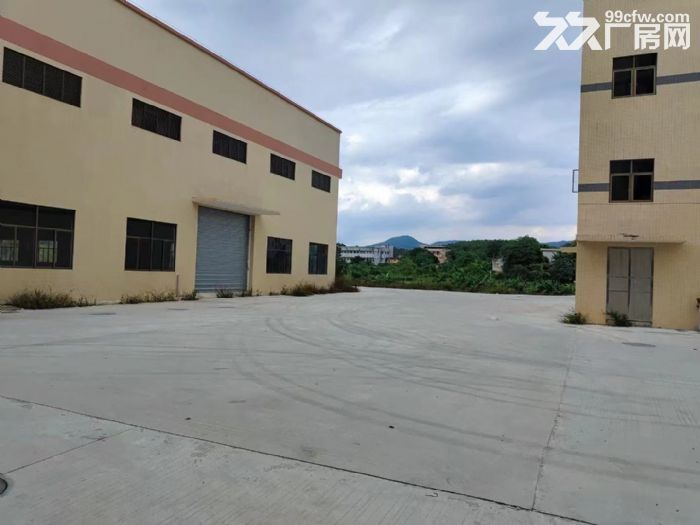 棠下镇桐乐路独院5000方出租-图3