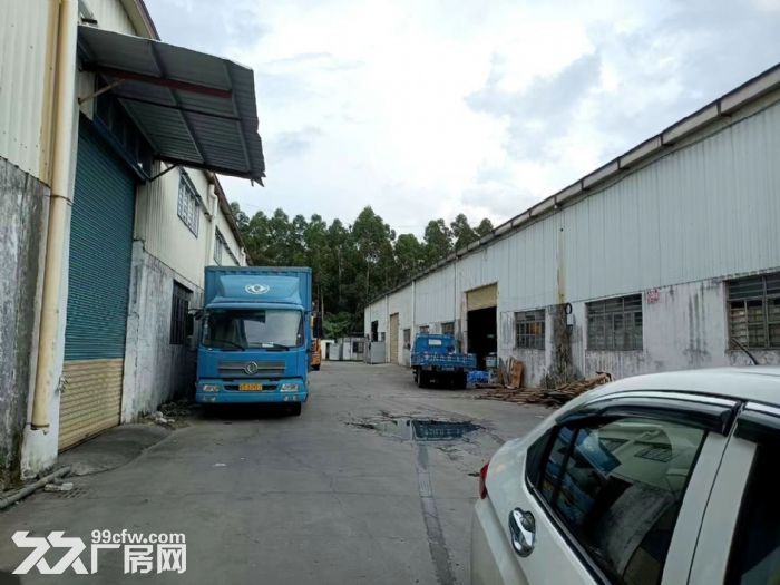 棠下镇丰盛工业园1200方出租-图3