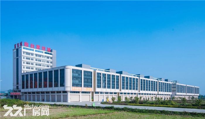 出租揭阳炮台厂房，欢迎租户前来参观了解！-图3
