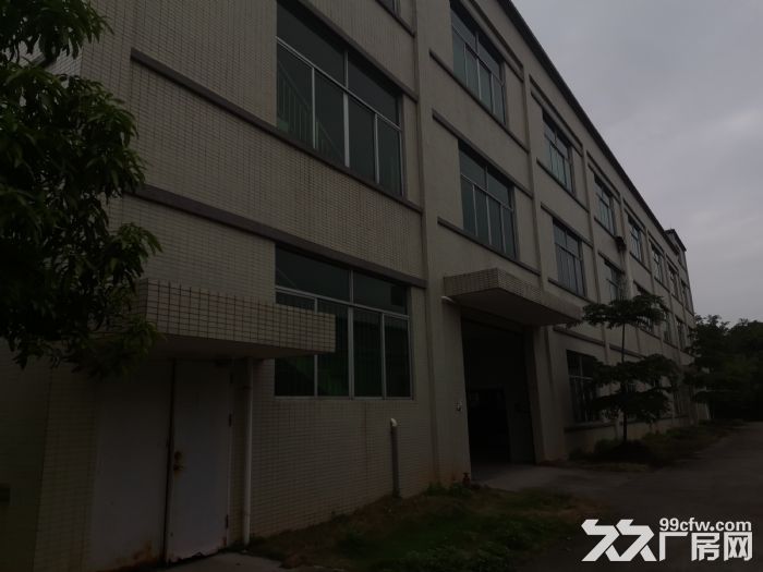 清远市龙塘镇高速出口有3600方出租有证可办环评-图3
