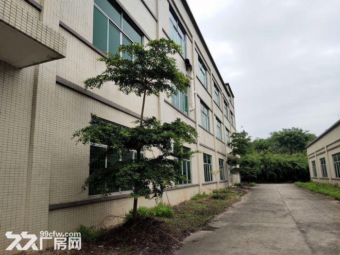 清远市龙塘镇高速出口3600方园林式厂房出租！-图4