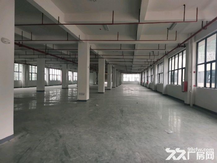 高新区（带化妆品环评）每层四千方可做美妆生物科技食品电子-图3