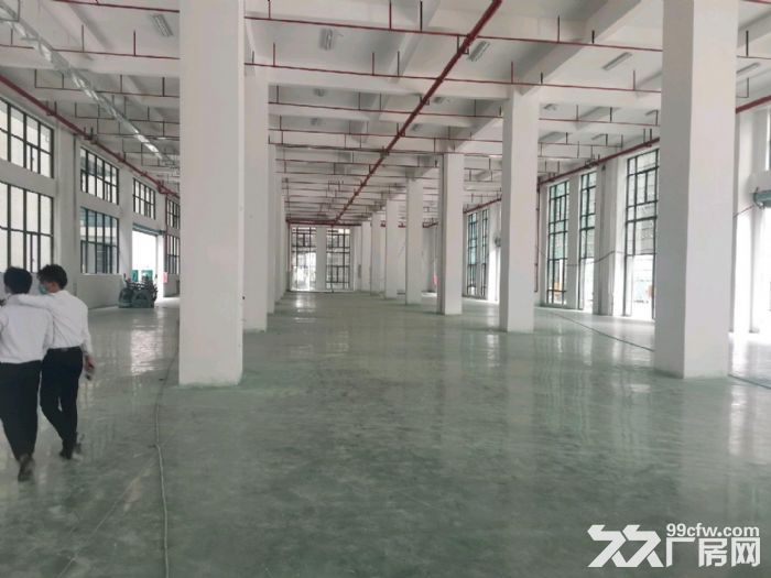高新区（带化妆品环评）每层四千方可做美妆生物科技食品电子-图4