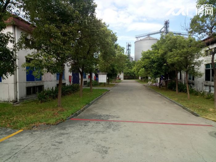 化工生产厂房仓库出租-图1