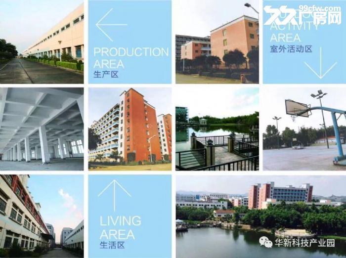 花园式混泥土厂房出租-图4
