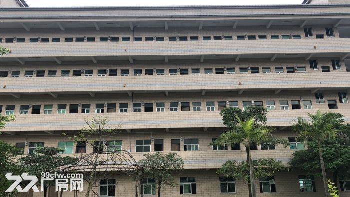 出租厂房可分租，业主直招-图2