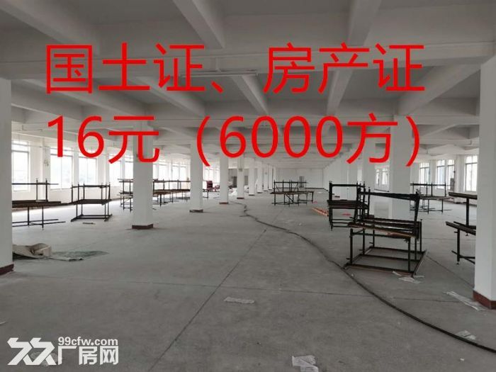 清远高新区独门独院6000方，有宿舍饭堂配套-图1