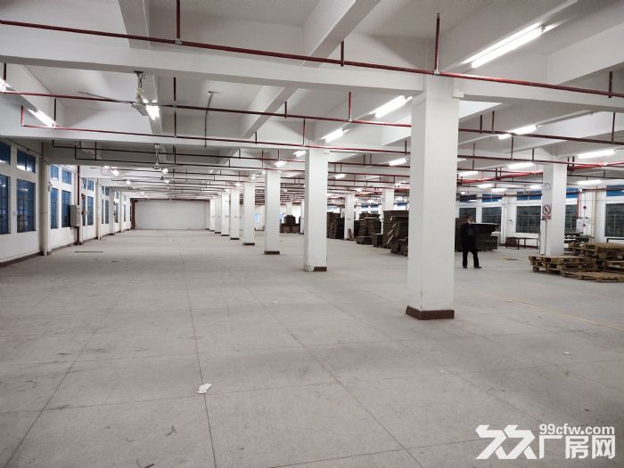 清远厂房高新区2000方园林仓库宿舍饭堂办公楼配套齐全-图1