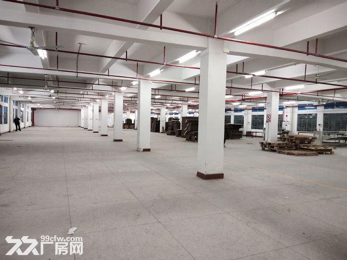 清远厂房高新区2000方园林仓库宿舍饭堂办公楼配套齐全-图5
