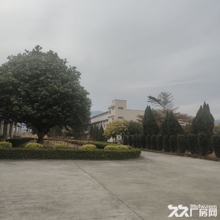 小独栋，花园式厂房出租，交通便利-图1