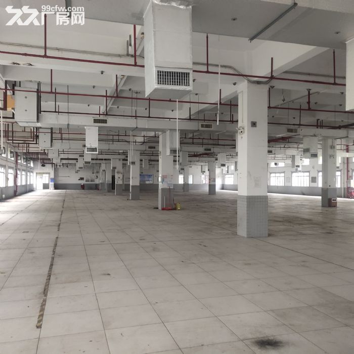 小独栋，花园式厂房出租，交通便利-图2