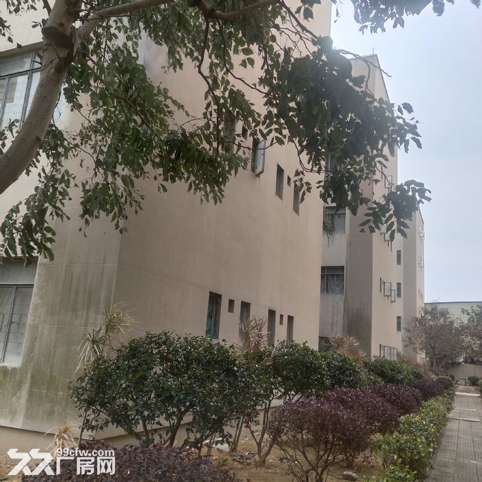 小独栋，花园式厂房出租，交通便利-图3