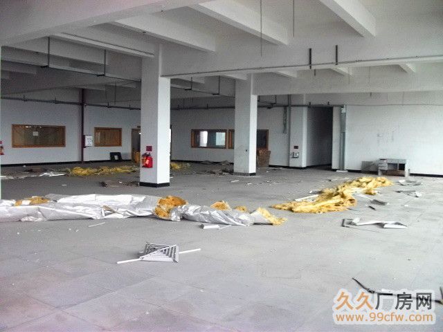高新区广清工业园3670方八成新钢架厂房平即租即用-图3