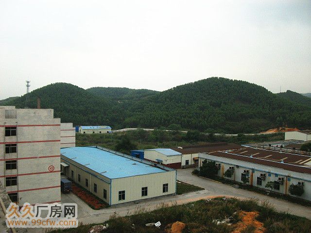 高新区广清工业园3670方八成新钢架厂房平即租即用-图8