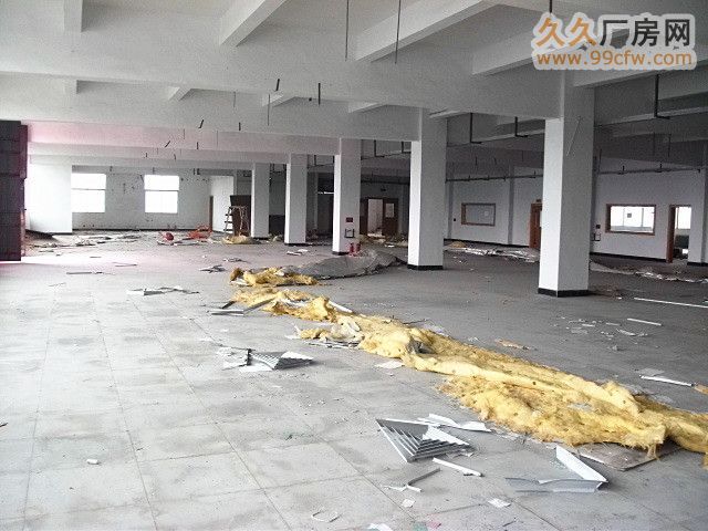 高新区广清工业园3670方八成新钢架厂房平即租即用-图6