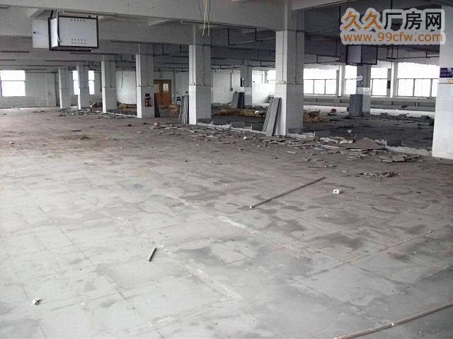 高新区广清工业园3670方八成新钢架厂房平即租即用-图7