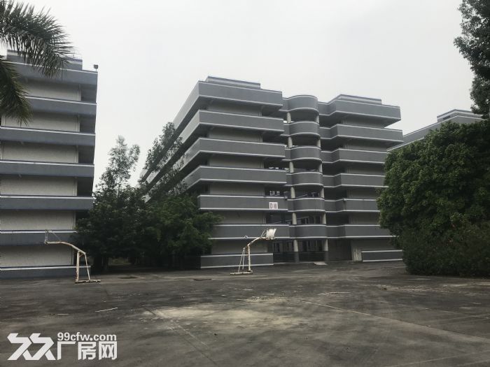 清远毗邻花都220亩独门独院花园式厂房适合多行业-图1