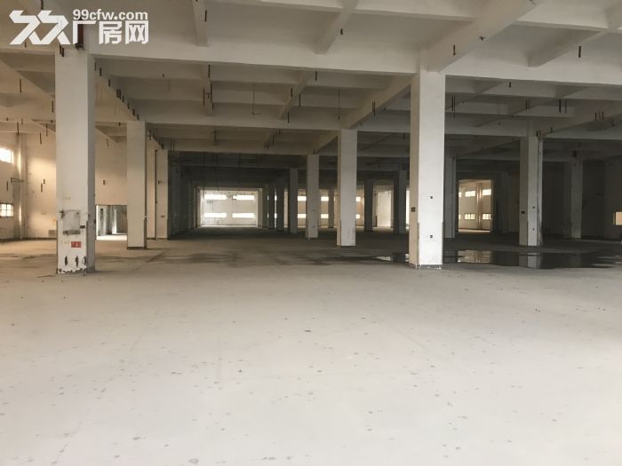 清远毗邻花都220亩独门独院花园式厂房适合多行业-图4