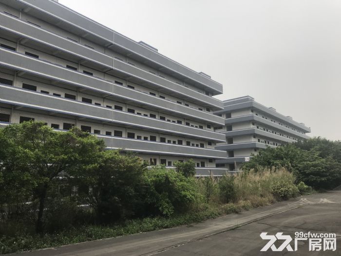 清远毗邻花都220亩独门独院花园式厂房适合多行业-图5