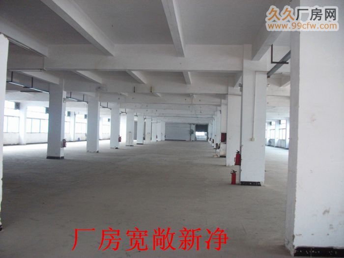 大型园区各类厂房配套齐全即租即用6−12元/方-图5