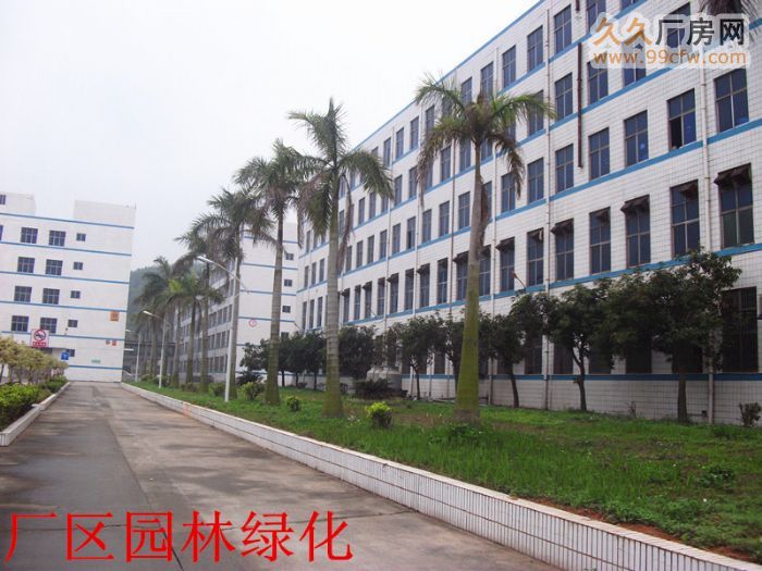 清远大型工业园1−5千方标准电梯厂房即租即用-图2