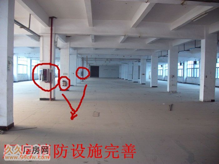 清远大型工业园1−5千方标准电梯厂房即租即用-图5
