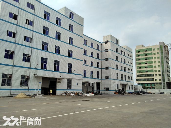8800㎡ 标准电梯厂房招租,首层6.5米,可装天-图5