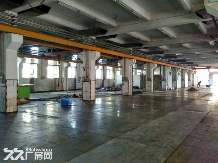 8800㎡ 标准电梯厂房招租,首层6.5米,可装天-图7