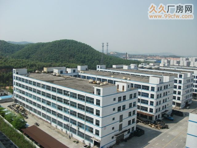 清远整栋5层11000方电梯标准框架厂房仅租7元/方-图2