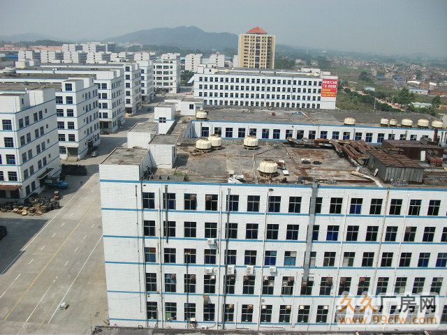 清远整栋5层11000方电梯标准框架厂房仅租7元/方-图3