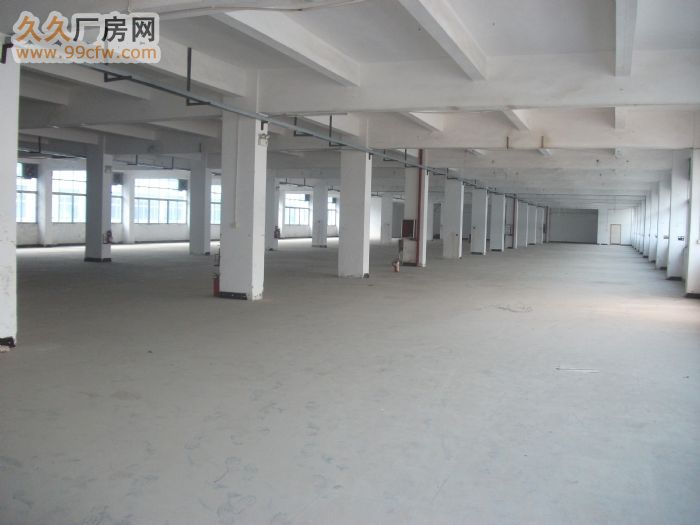 清远整栋5层11000方电梯标准框架厂房仅租7元/方-图5