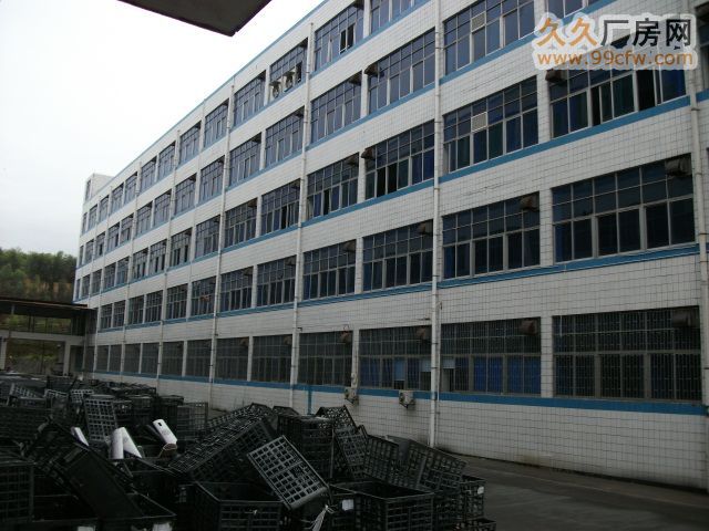 清远整栋5层11000方电梯标准框架厂房仅租7元/方-图8