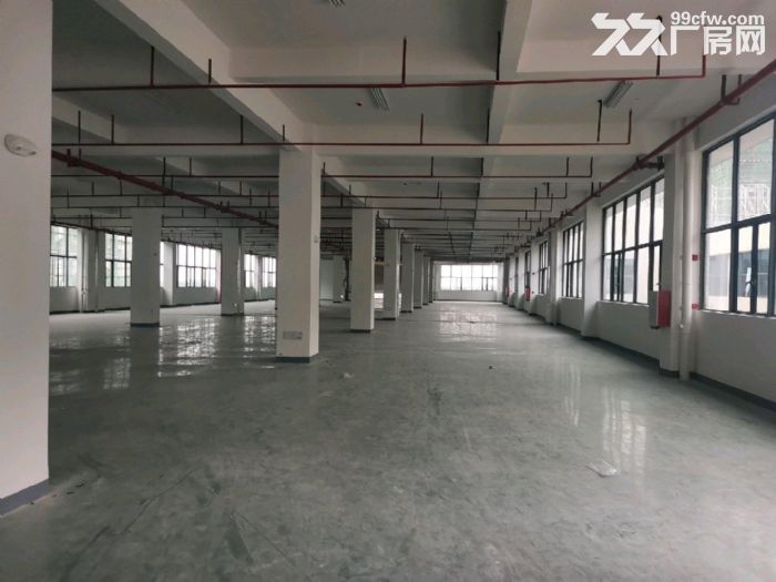 广清产业园（全新8万方标准厂房,带化妆品环评)可分租-图6