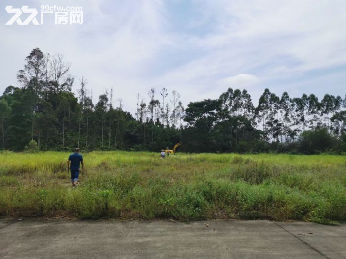 国道边面积大厂房大可二次开发-图4