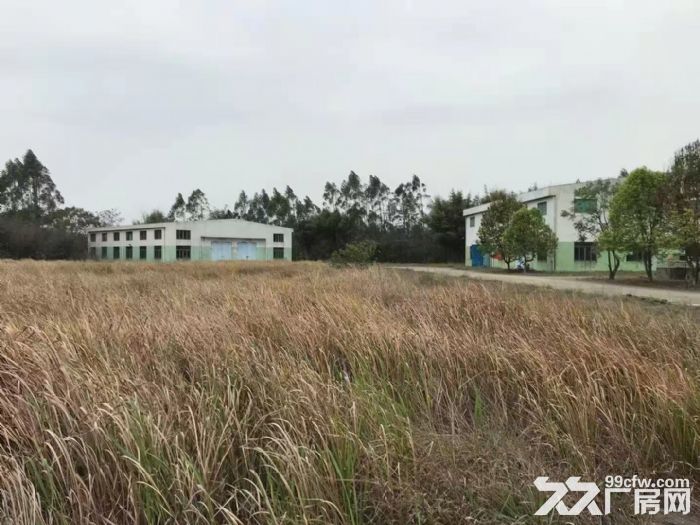 国道边面积大厂房大可二次开发-图6