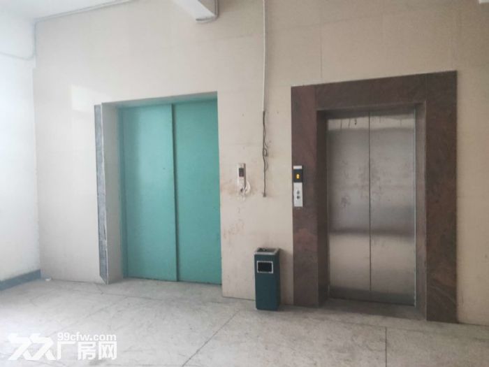 升平工业区正规厂房1600+850平可以分割-图2