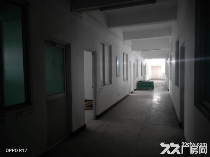 升平工业区正规厂房1600+850平可以分割-图3