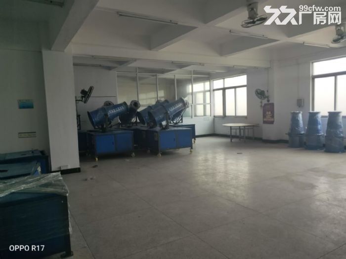 升平工业区正规厂房1600+850平可以分割-图5