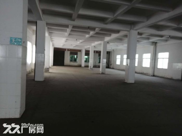 工业区正规工业厂房四五六楼出租-图2