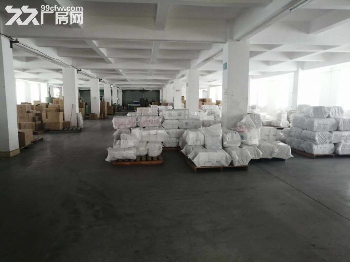 工业区正规工业厂房四五六楼出租-图7