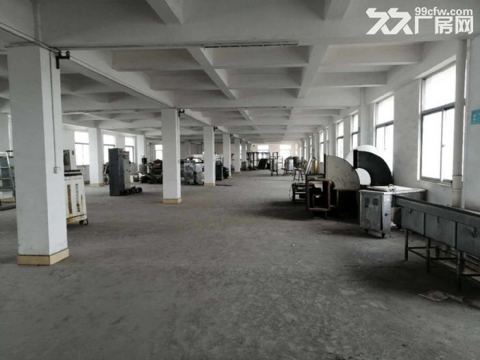 工业区正规工业厂房四五六楼出租-图3