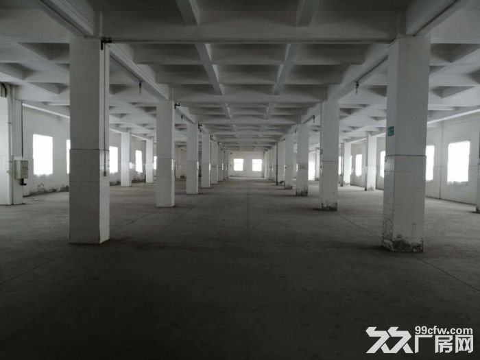 工业区正规工业厂房四五六楼出租-图4