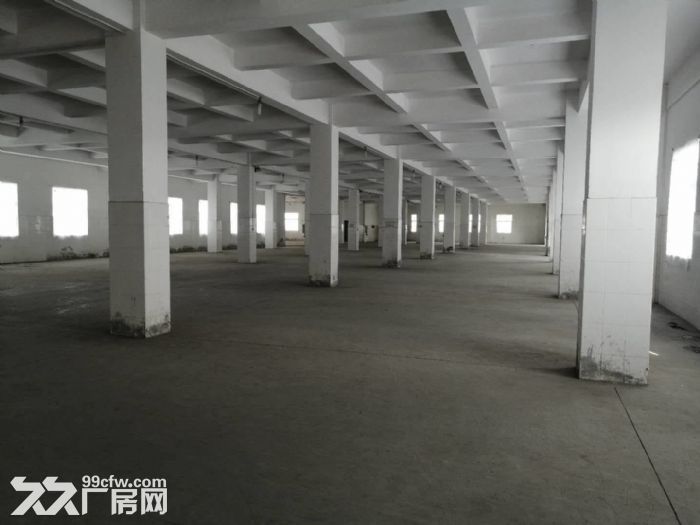 工业区正规工业厂房四五六楼出租-图5