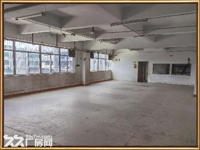 龙湖工业区 1330平 正规厂房 仅租13元/平 适合百业-图2