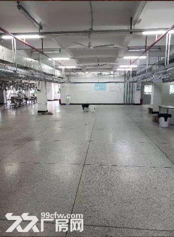 龙湖区夏桂埔浦江路正规厂房出租（可分割）-图1