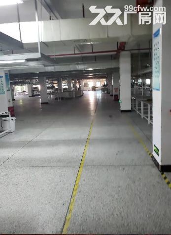 龙湖区夏桂埔浦江路正规厂房出租（可分割）-图3