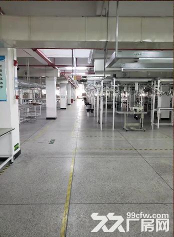 龙湖区夏桂埔浦江路正规厂房出租（可分割）-图2