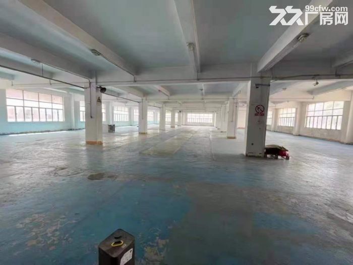 坂田新出独栋厂房8400平可分租-图1